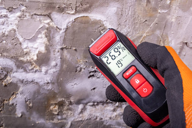 Best Emergency Mold Removal  in Mona, UT